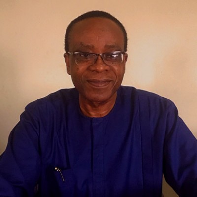 Nnimmo Bassey, Nigeria